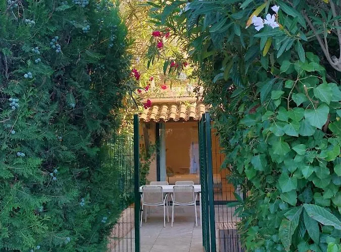 Moderne Dans Le Golfe De Saint-tropez * ガッサン
